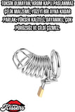 Bsdm Metal Penis Kilidi Chastity Cock Cage Erkek Bekaret Penis Kilidi Kilitlenebilir Esaret Kafesi