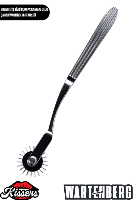BDSM Fetiş Paslanmaz Çelik Wartenberg Tekerleği Sivri Uçlu