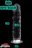Yeni Nesil Cinsel Oyuncak Testissiz Şeffaf Jel Dokusunda Ultra Realistik Penis Dildo 19 Cm